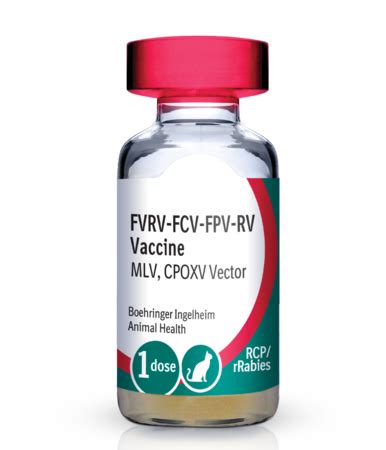 lv cpoxv vector|PUREVAX Feline Rabies .